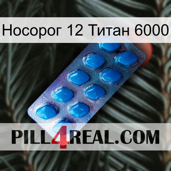 Носорог 12 Титан 6000 viagra1.jpg